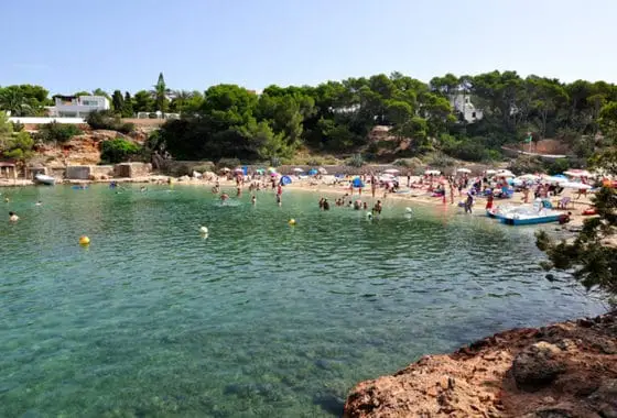 Ibiza cala gracio beach with holiday makers