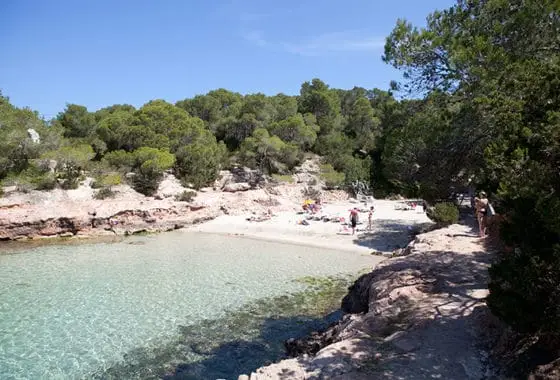 Ibiza gracionetta beach with holiday makers