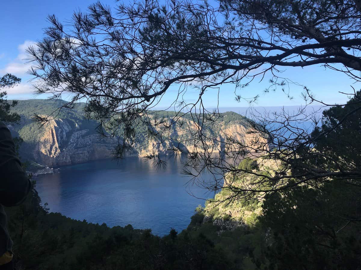 Cala D'Albarca Winter, beautiful sea views with cliffs in distance and tree arching over